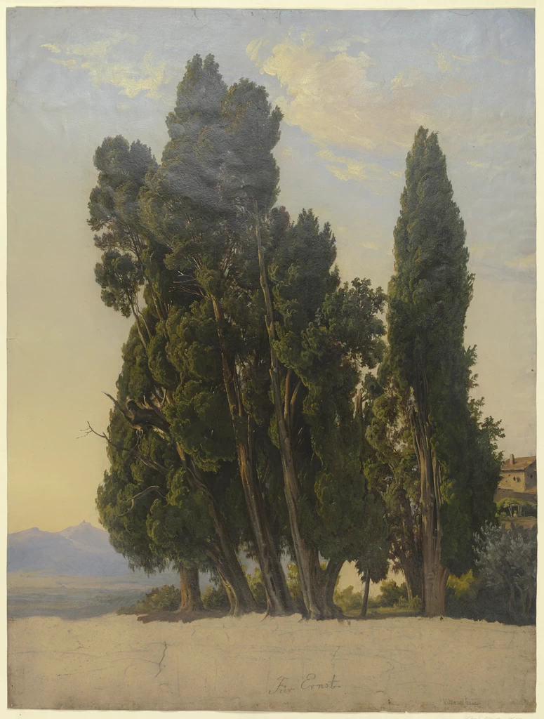Cipressi nel parco di Villa d'Este - Städelsches Kunstinstitut e Galleria Comunale, Francoforte